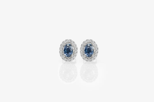 Alessia Sapphire Studs