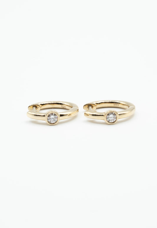 Debra Diamond Hoops